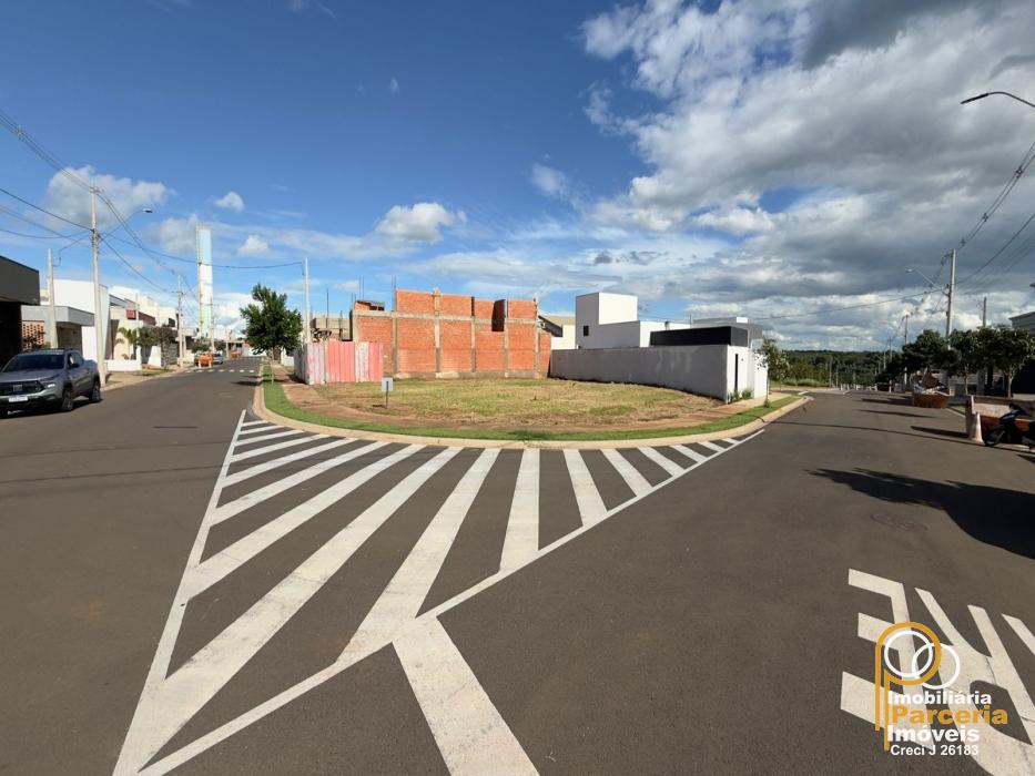 WhatsApp Image 2026-02-10 at 18.26.31 (2).jpeg